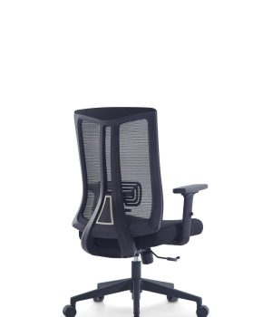 9091--low-back-1