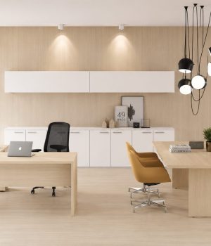 basic-office-set--gaudi-1