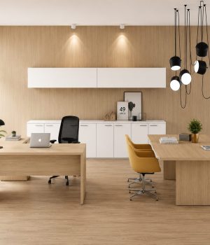 basic-office-set--klimt-1