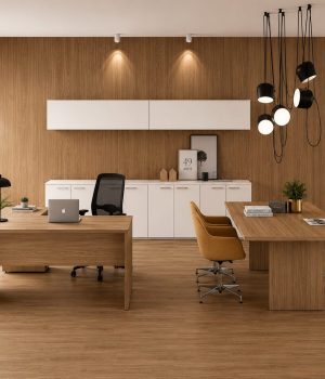 basic-office-set--miro-1