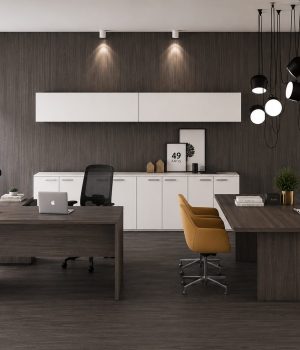 basic-office-set--rembrandt-1