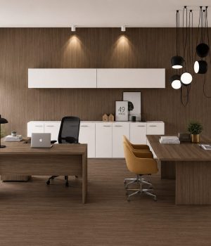 basic-office-set--rubens-1