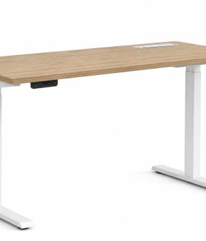 flexi-office-set--klimt-1