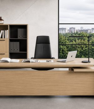 imperial-office-set--klimt-1