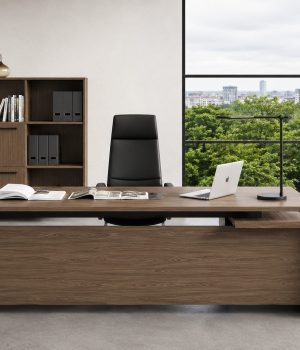 imperial-office-set--rubens-1