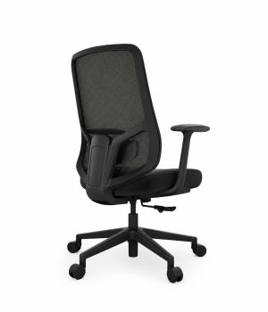 mask-chair--low-back-1