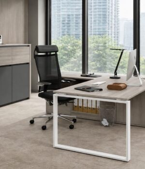 ring-office-set--0202-oak-1
